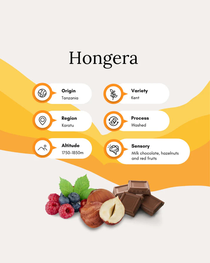 Hongera Kent AB Washed - Leon Christianakis